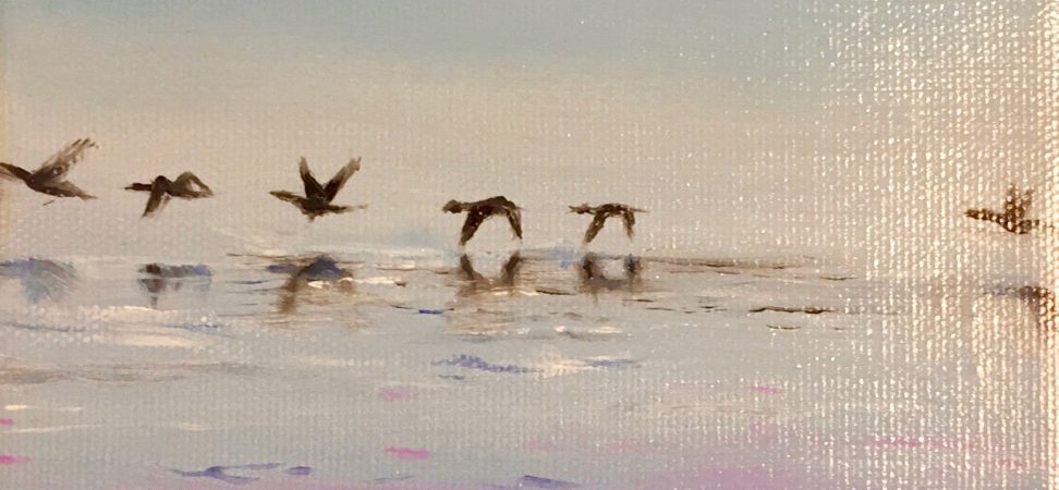 birds flying in a line just above water
